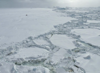 Изумително откритие: Живот под ледената шапка на Арктика